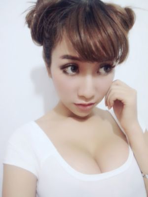 布鲁伊第三季